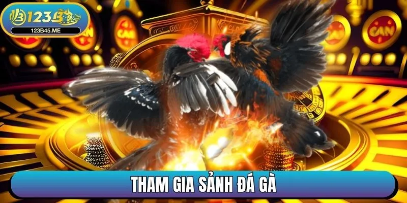 Tham gia sảnh Đá Gà