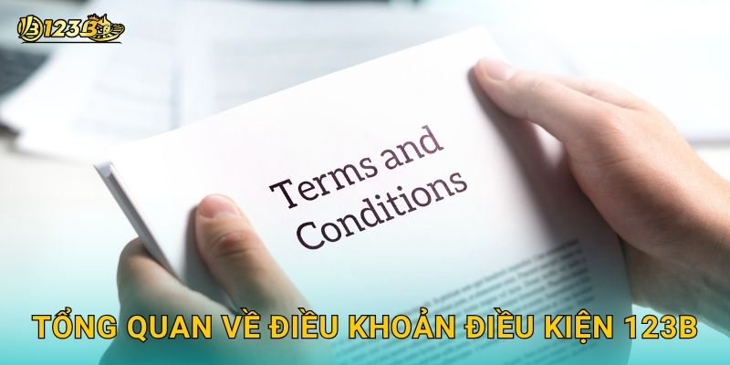 Tổng quan về Điều khoản điều kiện 123b
