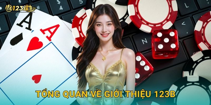 Tổng quan về Giới thiệu 123b