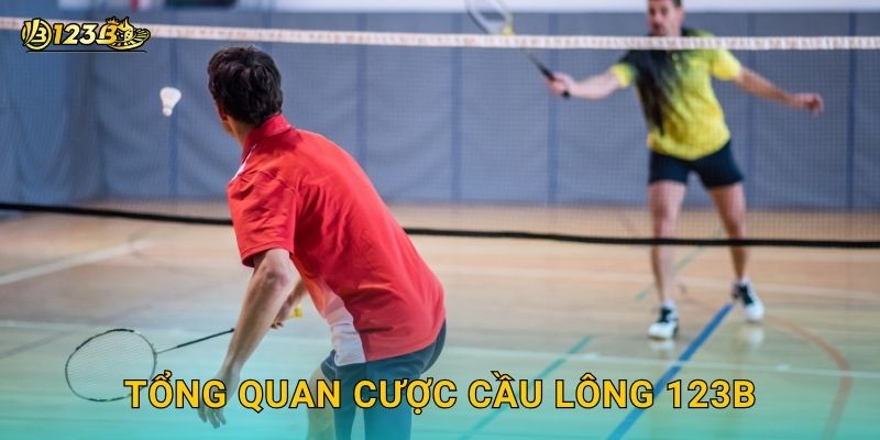 Tổng quan cược Cầu lông 123b