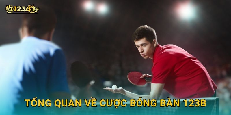 Tổng quan về cược Bóng bàn 123b